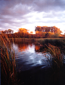  Lake Scene at Dusk-West Central Minnesota